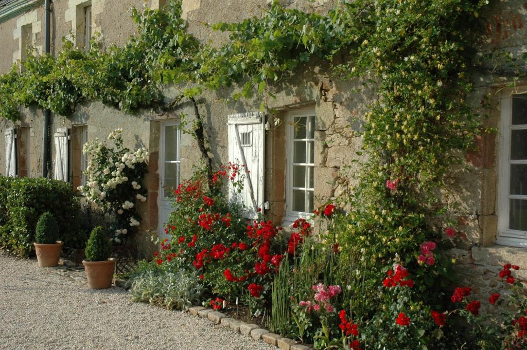 Gorges  Chateau De L'Oiseliniere B&B 외부 사진